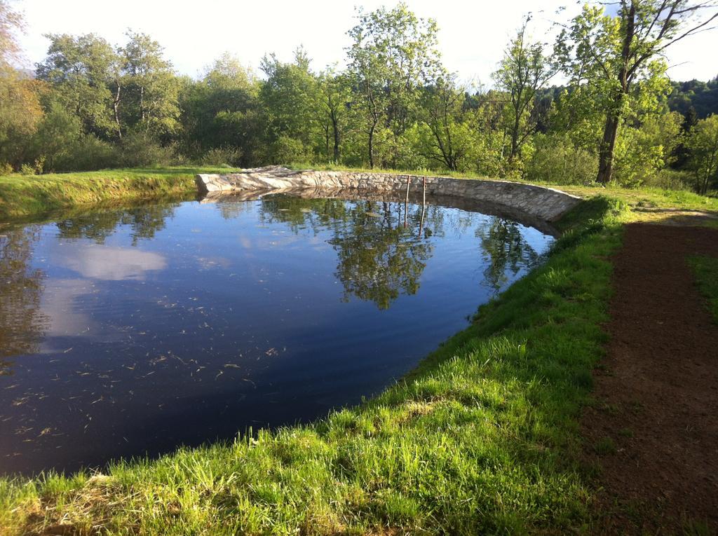 Penzion Farma Zleby Ceske Zleby Extérieur photo