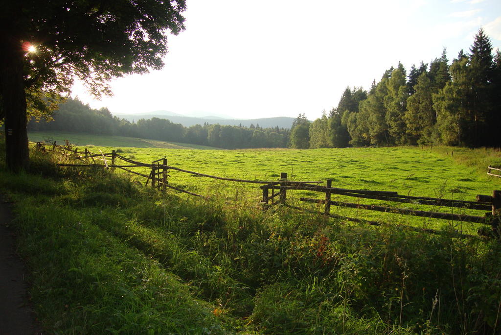 Penzion Farma Zleby Ceske Zleby Extérieur photo